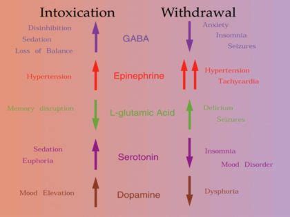 are benzodiazepines similar to alcohol